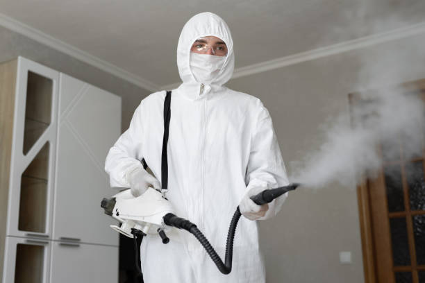 Best Asbestos and Lead Testing During Mold Inspection in South Burlington, VT